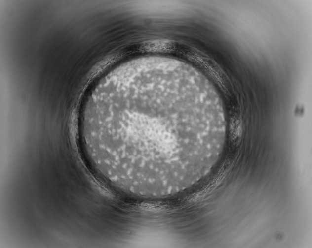 X0000103910725200810101307