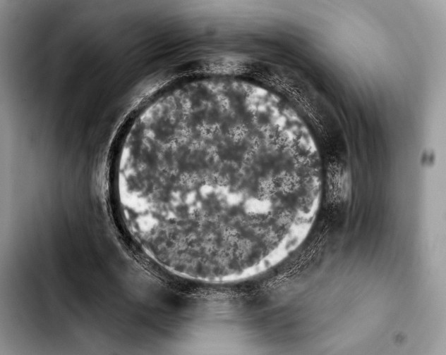 X0000103910726200810101307