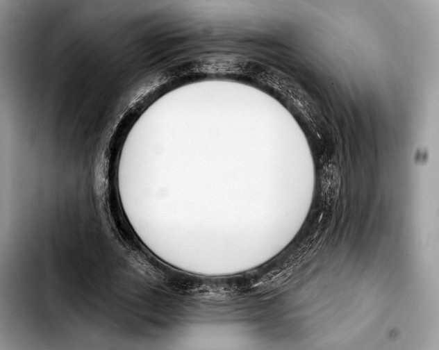 X0000103910727200810101307