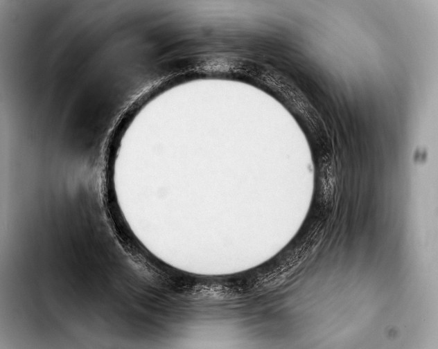 X0000103910728200810101307