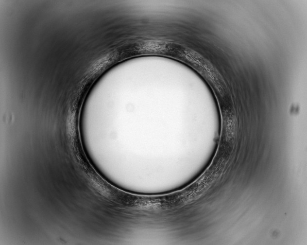 X0000103910729200810101307