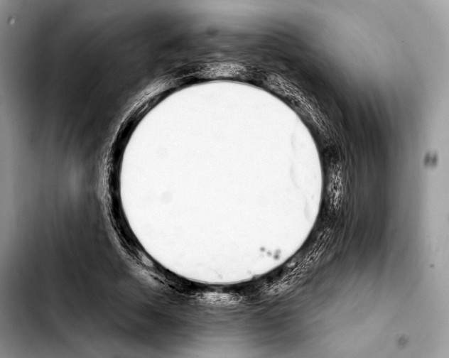 X0000103910730200810101307