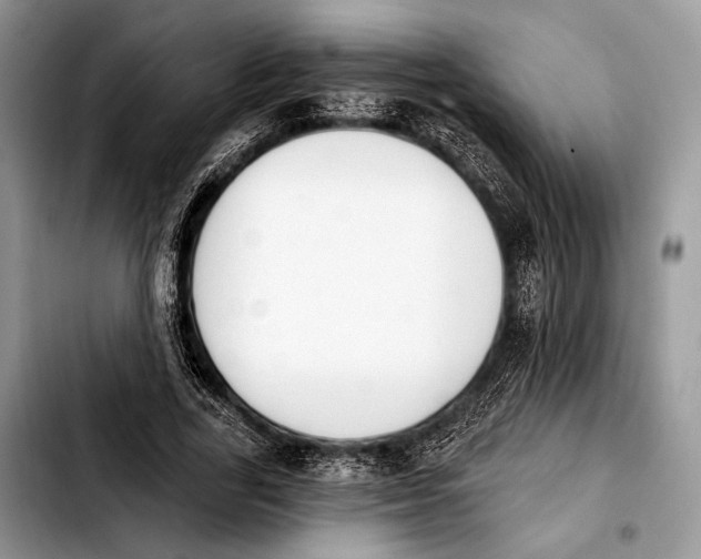 X0000103910731200810101307