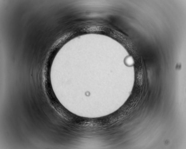 X0000103910732200810101307