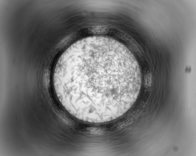 X0000103910733200810101307