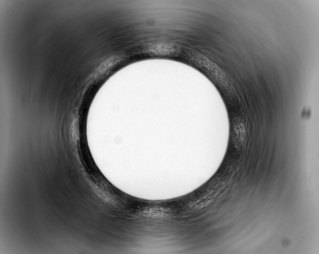 X0000103910734200810101307
