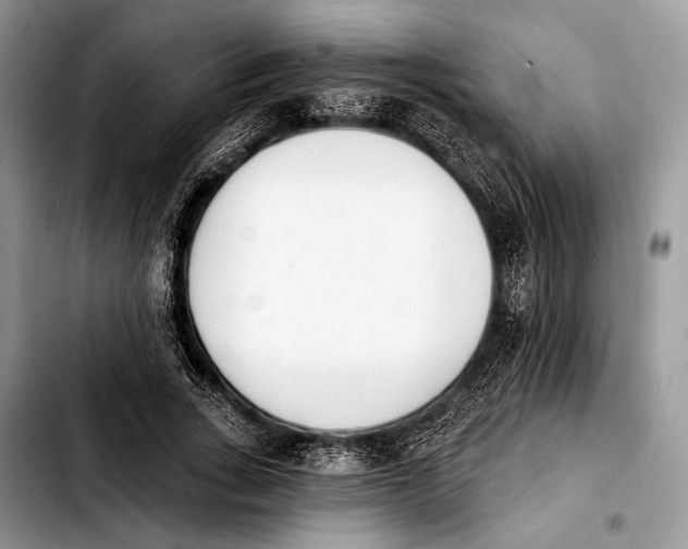 X0000103910735200810101307