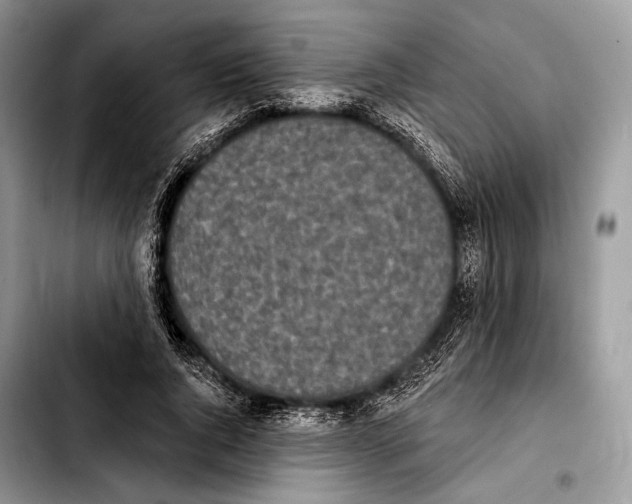 X0000103910736200810101307