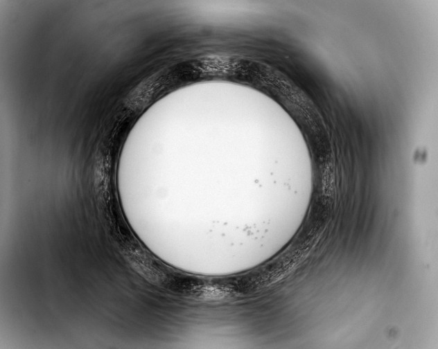 X0000103910737200810101307