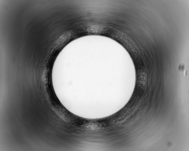 X0000103910738200810101307