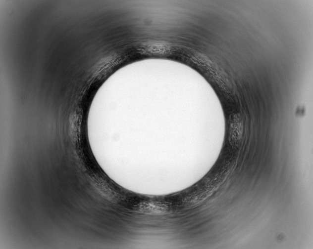 X0000103910739200810101307