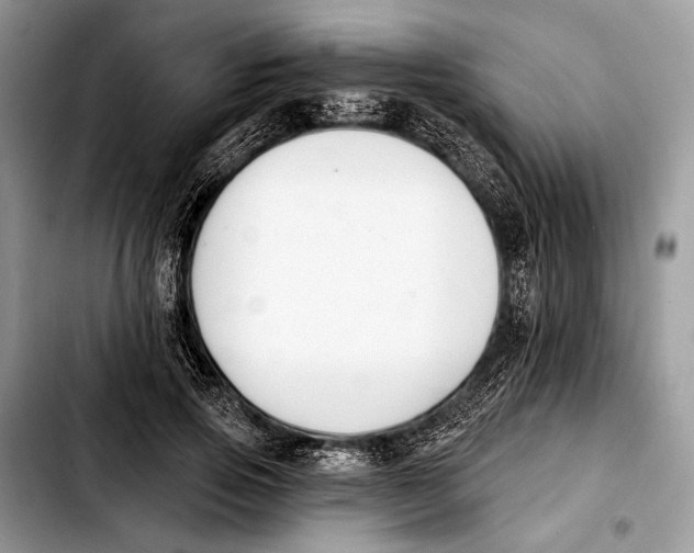 X0000103910741200810101307