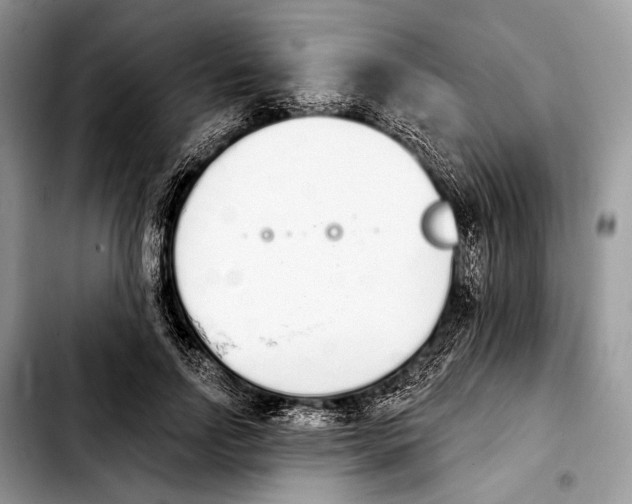 X0000103910742200810101307