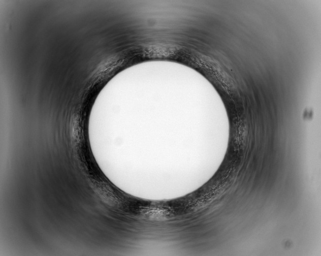 X0000103910743200810101307
