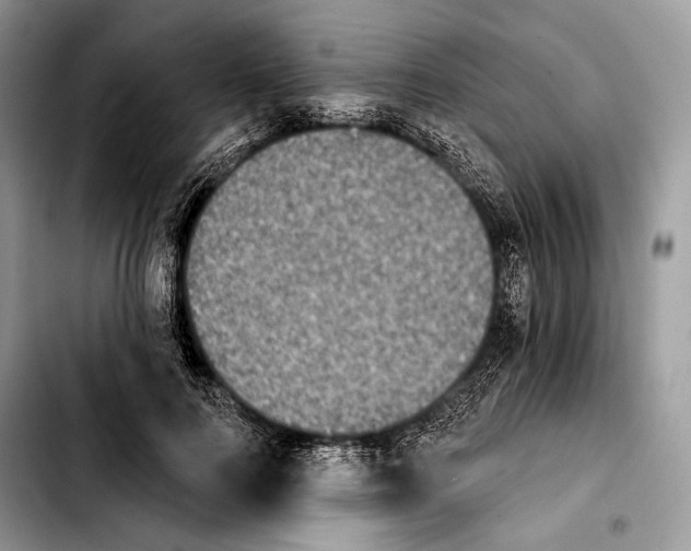 X0000103910744200810101307