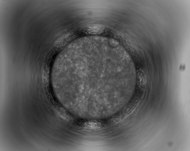 X0000103910745200810101307