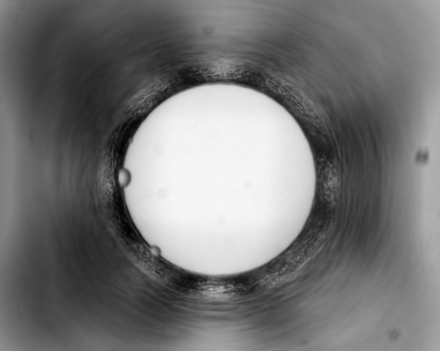 X0000103910746200810101307