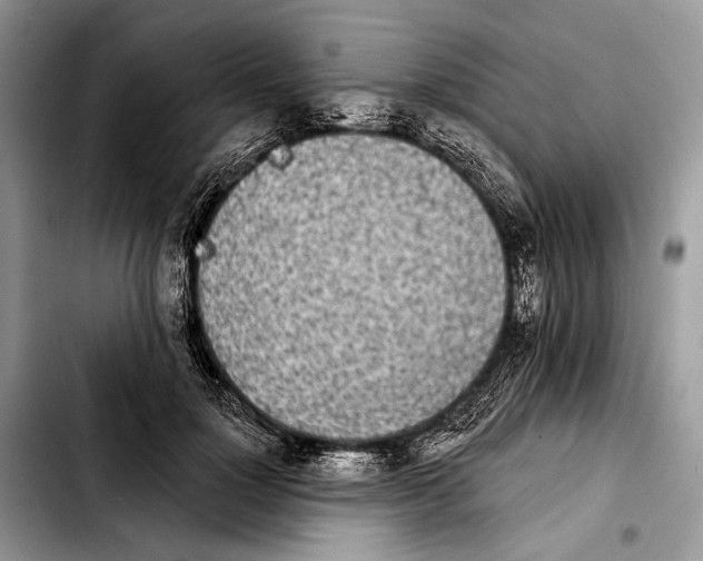 X0000103910748200810101307