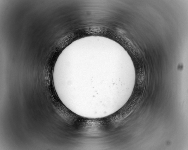 X0000103910749200810101307