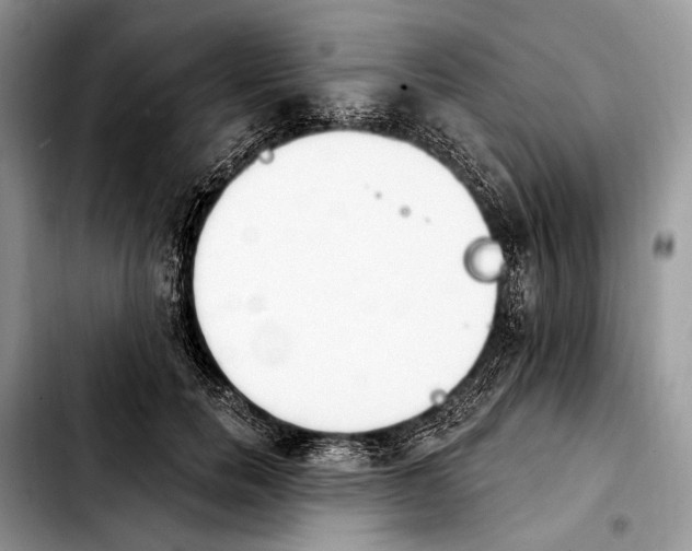 X0000103910750200810101307