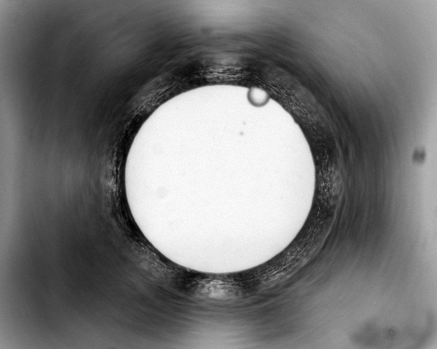 X0000103910755200810101307