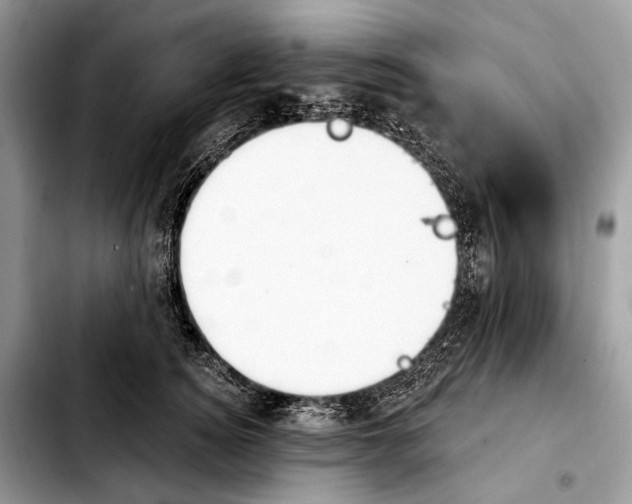 X0000103910756200810101307