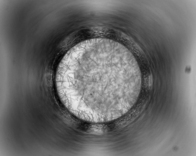 X0000103910757200810101308