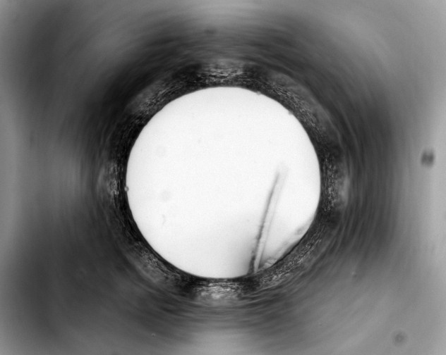 X0000103910758200810101308