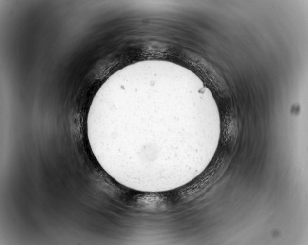 X0000103910759200810101308