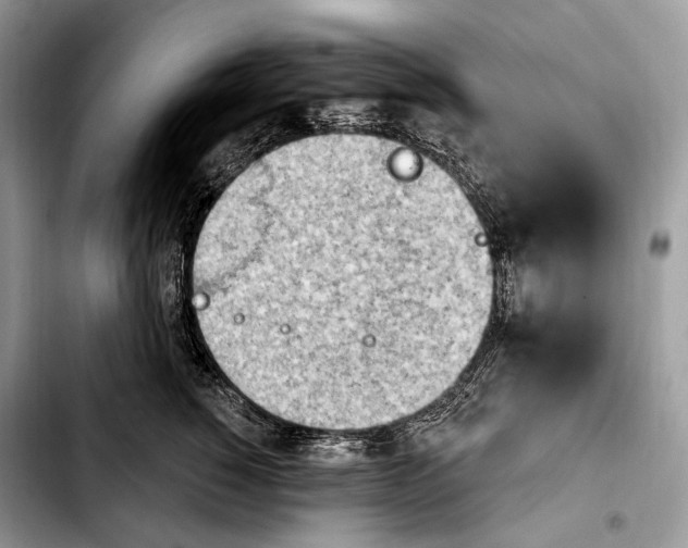X0000103910760200810101308