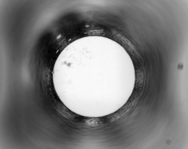 X0000103910761200810101308