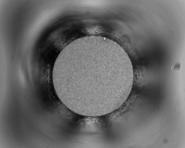 X0000103910762200810101308