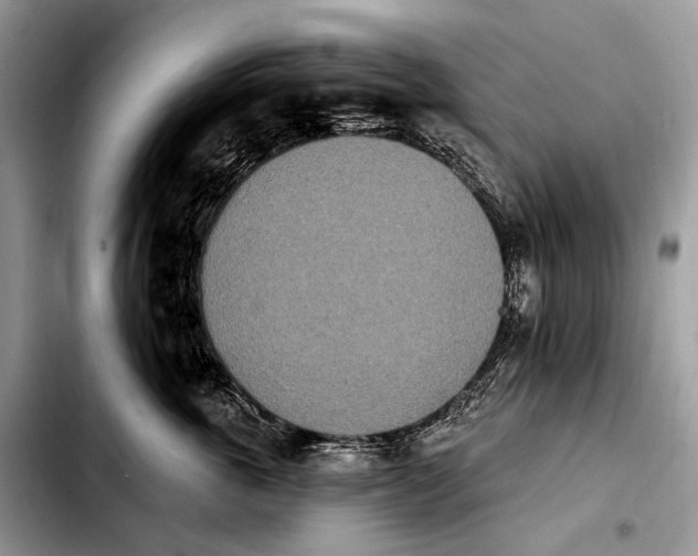 X0000103910763200810101308