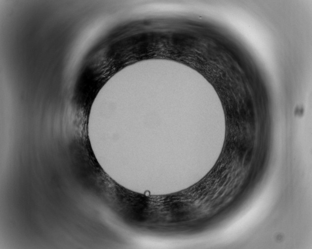 X0000103910766200810101308