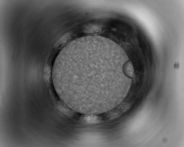 X0000103910767200810101308