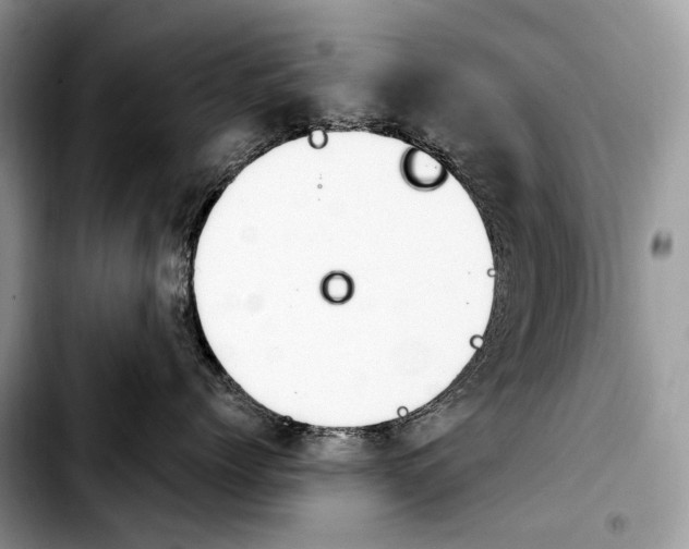 X0000103910768200810101308
