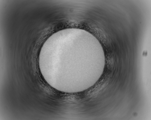 X0000103910769200810101307