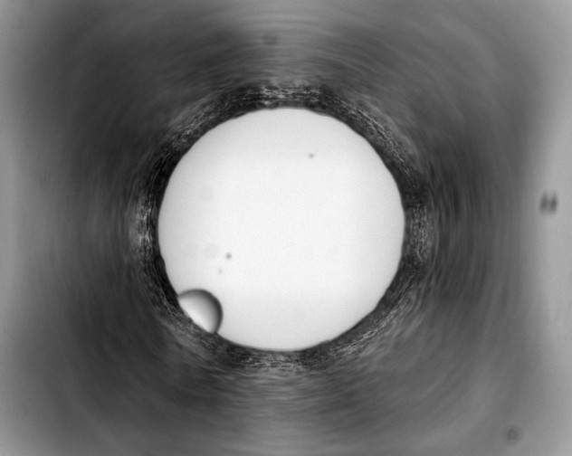 X0000103910770200810101307
