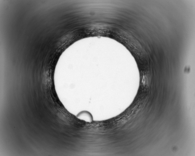 X0000103910771200810101307