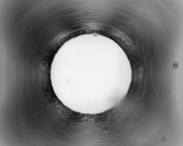 X0000103910773200810101307