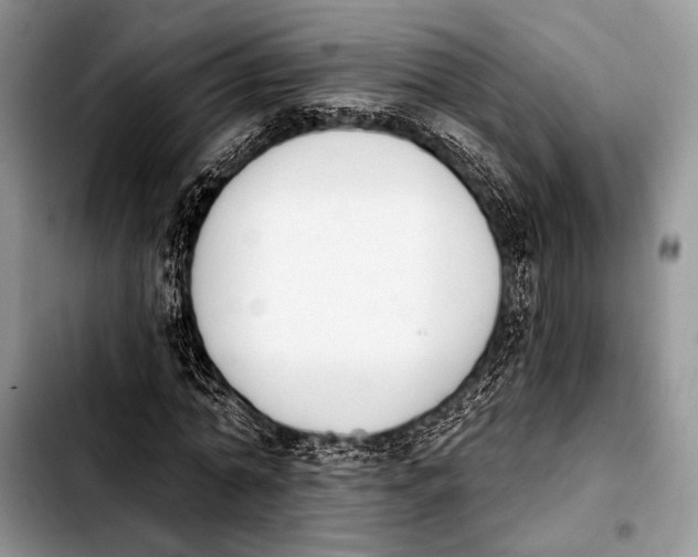 X0000103910774200810101307