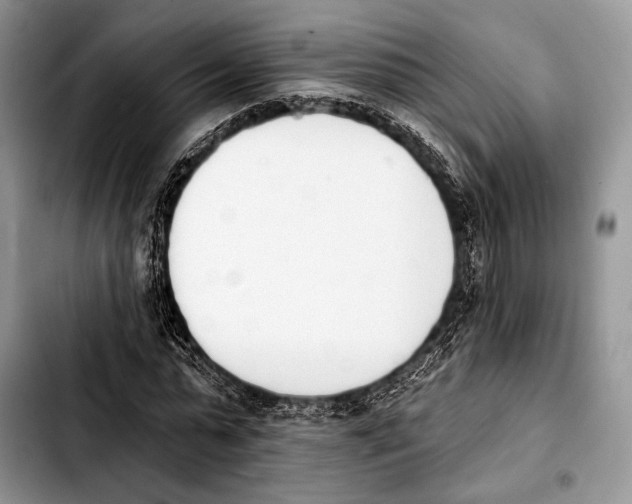 X0000103910775200810101307