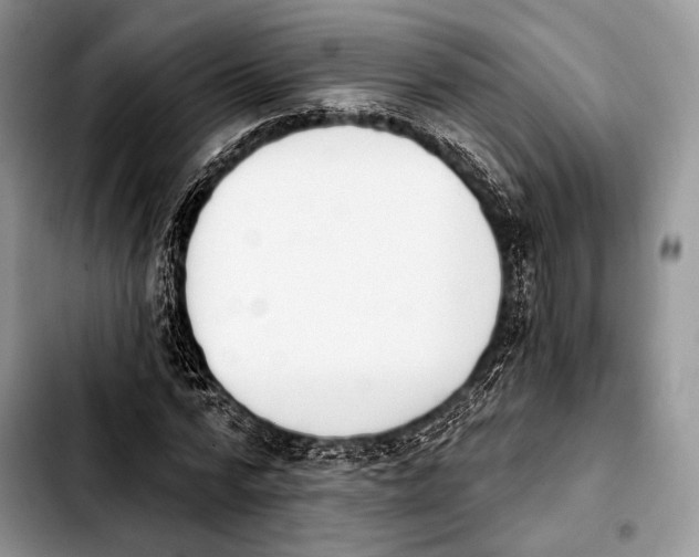X0000103910776200810101307