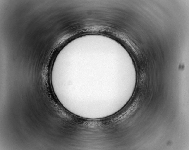 X0000103910778200810101307