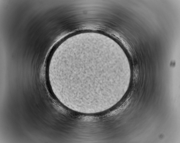 X0000103910779200810101307
