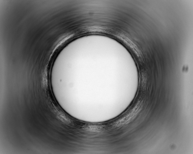 X0000103910782200810101307