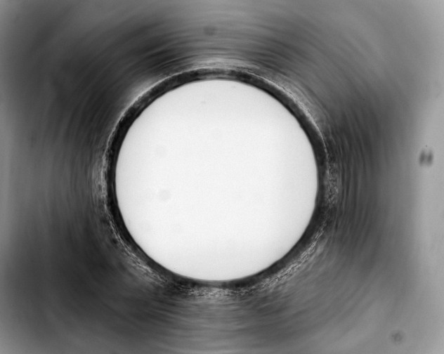 X0000103910783200810101307
