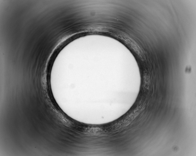 X0000103910784200810101307