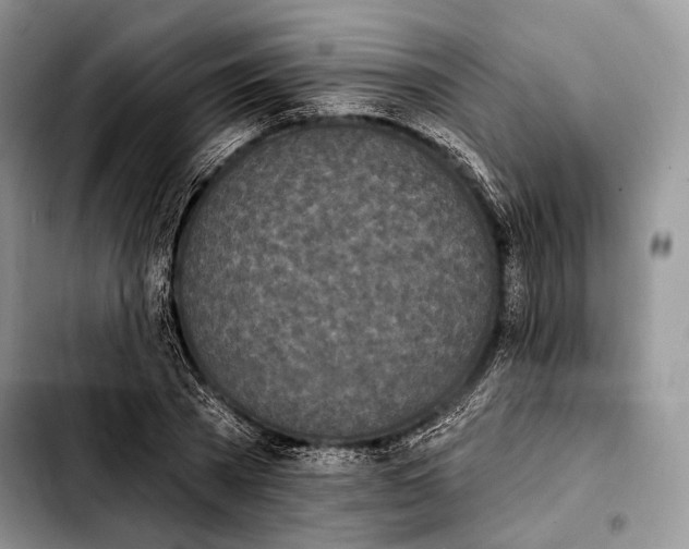 X0000103910785200810101307