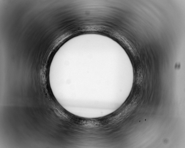 X0000103910786200810101307